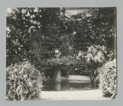 Unidentified people and places