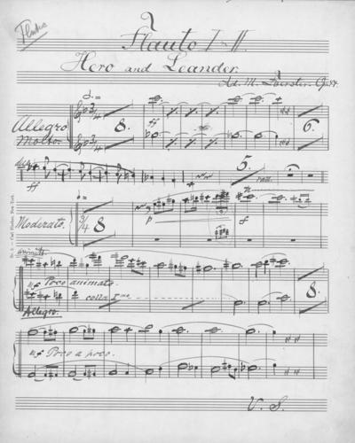 Opus 44 Hero and Leander: 1st and 2nd flute