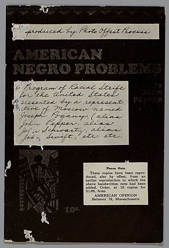 American Negro Problems
