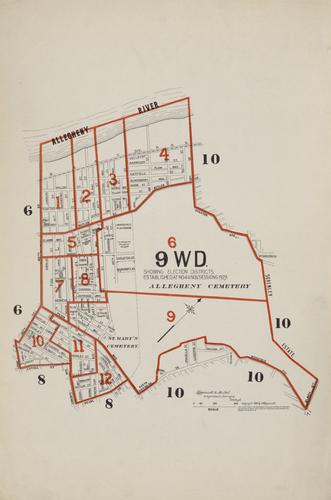 Ward 9