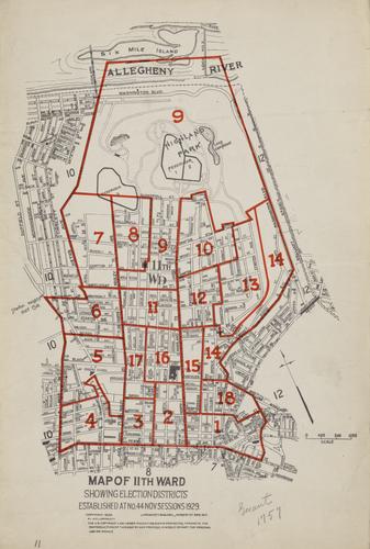 Ward 11