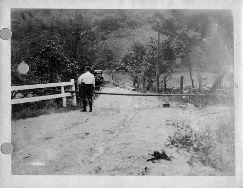 McGovern Inspecting A Felled Pole