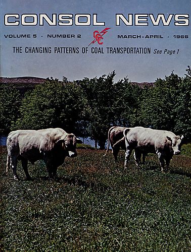 Consol news