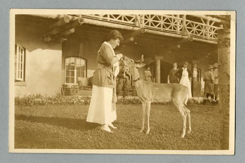 Mary Roberts Rinehart feeding deer