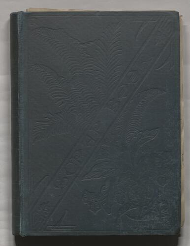 Kingsley House Clippings, 1894-1907