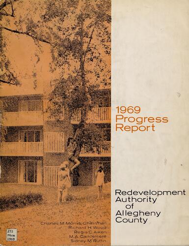 Progress Report