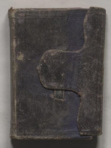 Daily Diary, 1860
