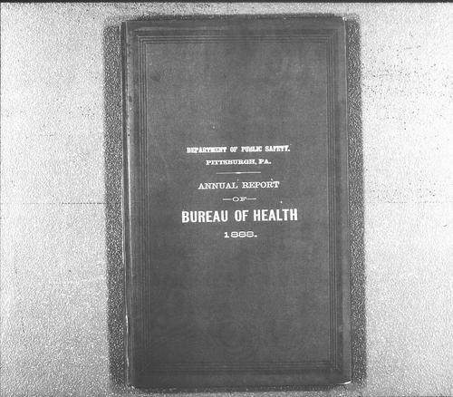 Department of Public Health Annual Report, 1888