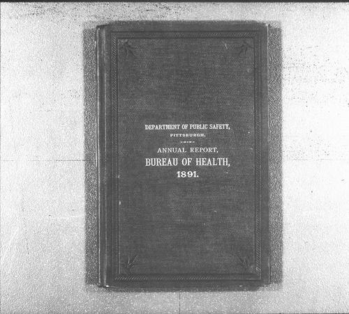 Department of Public Health Annual Report, 1891