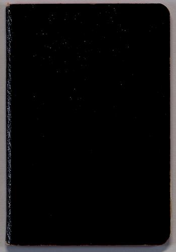 Roessing Diary, July 2-Aug 8, European Trip