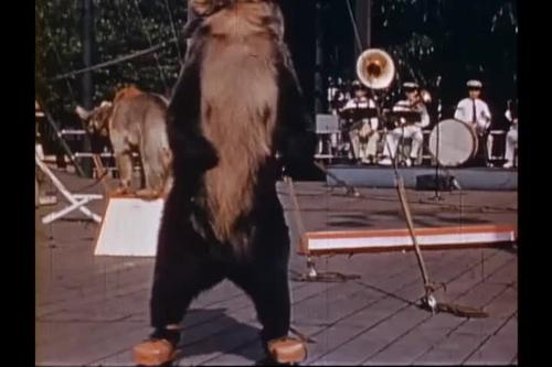 Pallenberg's Bears Performance