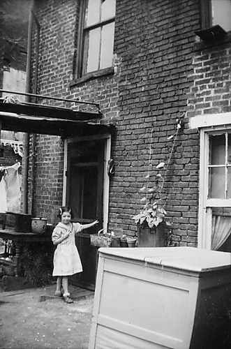 Houses Along Bigelow