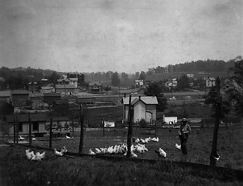 Lillian Home Farm