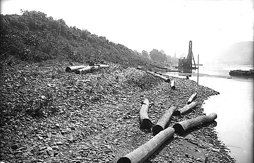 Allegheny River Bank
