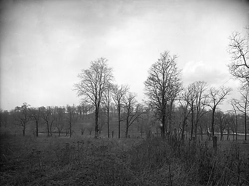 Panoramic View from East Property Line