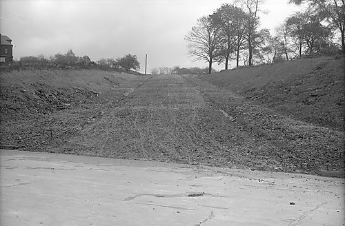 Nicholson Street and Shady Avenue