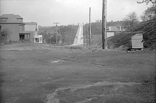 Tilbury Avenue and Nicholson Street