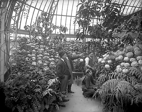 Phipps Conservatory