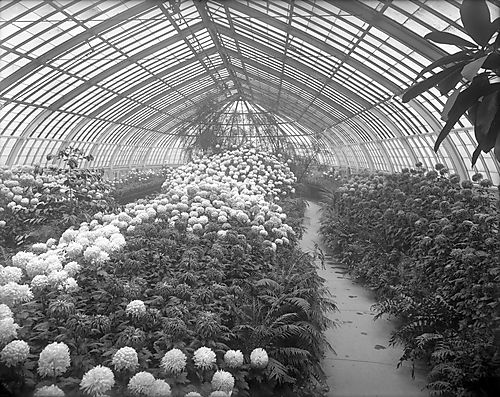 Phipps Conservatory Interior
