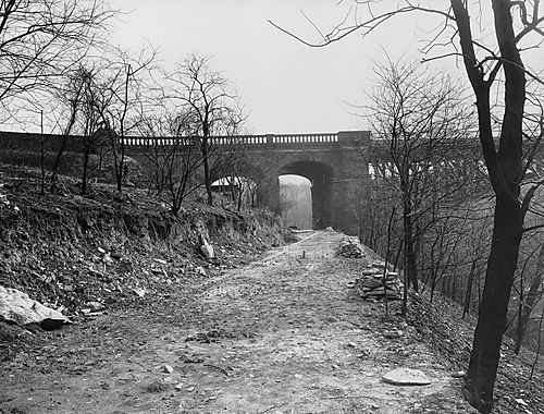 Bridle Path in Panther Hollow