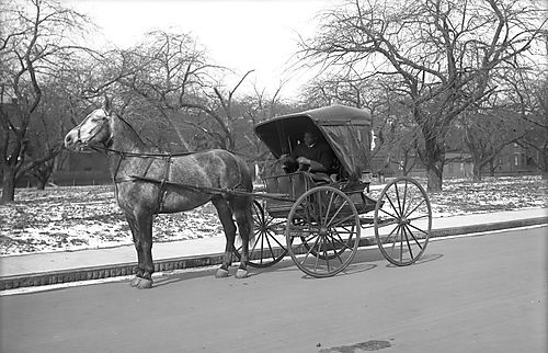 Horse and Buggy