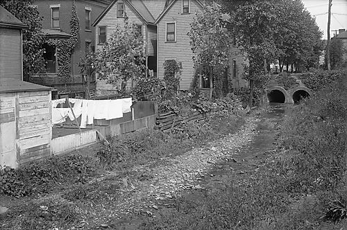 Nine Mile Run Double Culverts