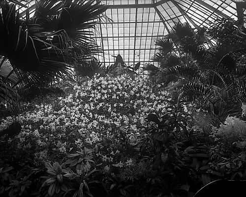 Phipps Conservatory