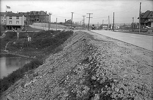 Houses in Squirrel Hill
