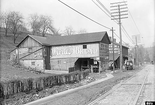 Ward's Bread