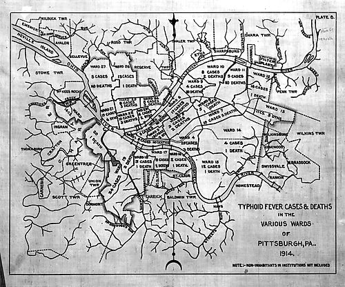Typhoid Cases by Ward