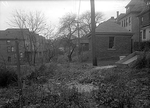 Swan Way