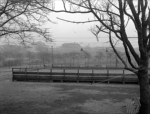Arsenal Park