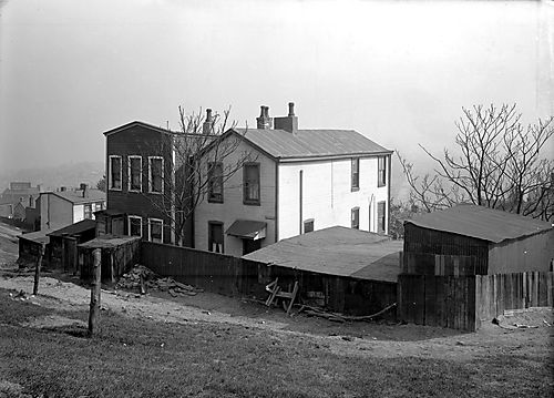 Webster Avenue
