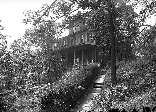 Foliage Surrounded Home