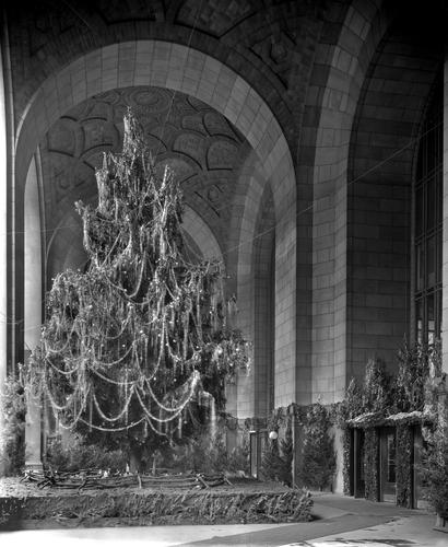 Municipal Christmas Tree