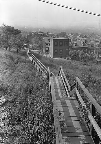 Celadine Street Steps