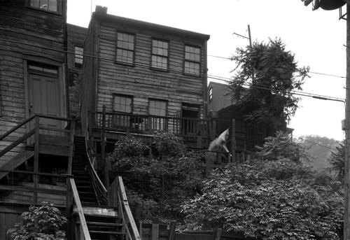 Manor Street #300 & #298