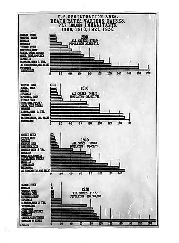 Typhoid Cases, 1900-1930