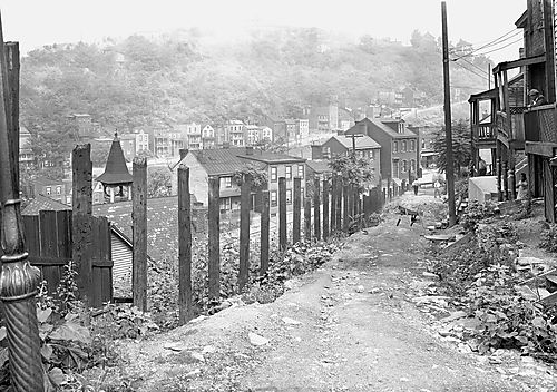 Houses on the Outskirts of Oakland