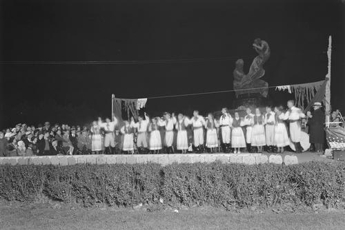 Halloween Celebration