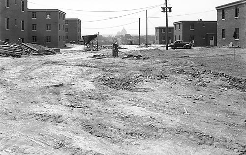 Bedford Dwellings Housing Project