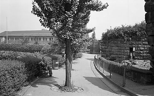 Pittsburgh Zoo -- Sidewalk Near Bear Den