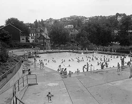 Bird's Eye View of the Pool