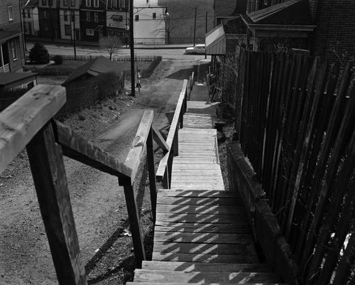 Loyal Way Steps