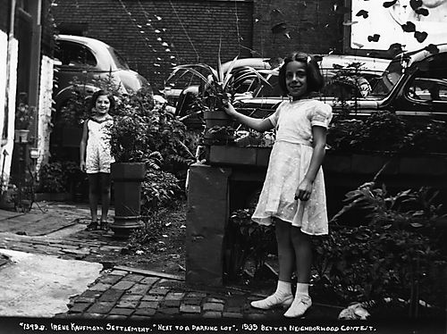 Garden Next to Parking Lot