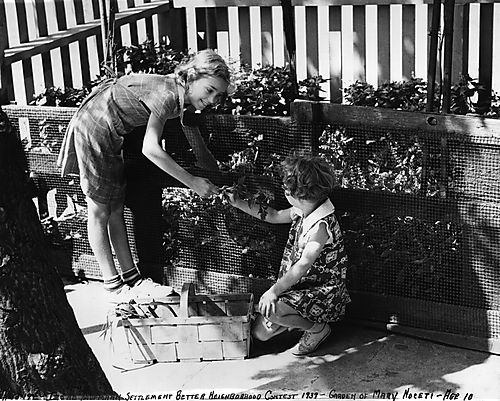 Better Neighborhood Contest