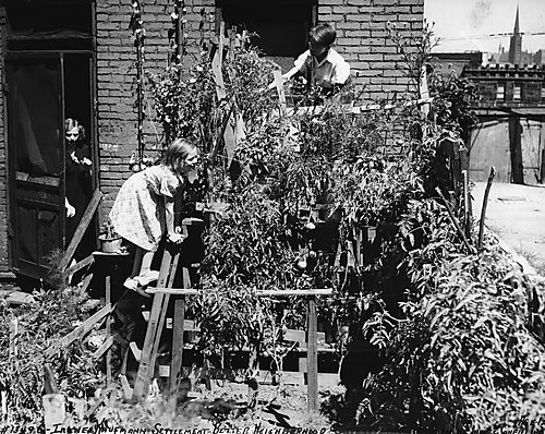 Climbing the Plants