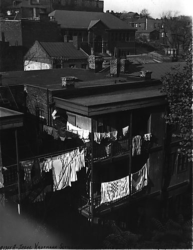 View of the Neighborhood