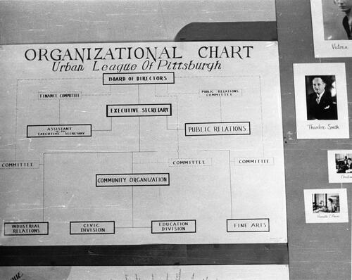 Organizational Chart