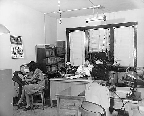 Staff